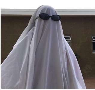 Gray Ghosts: Targeting the Elusive Southern California White