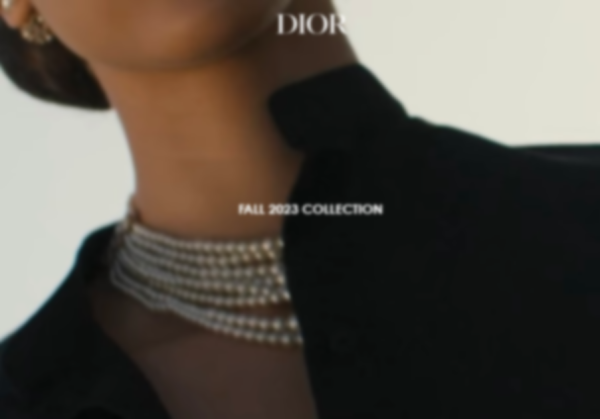 Image Property of: Christian Dior
With the Pre-Fall Show over, Dior curates a new seasonal collection for fall. This collection is an amalgam of Dior staples, items introduced in various Dior 2023 collections, and of course, pieces dedicated to the collection. 
