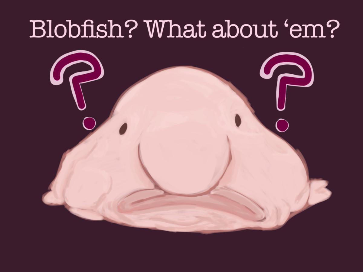 A drawing of blobfish when they are out of water. Made by Jasper Vicente.