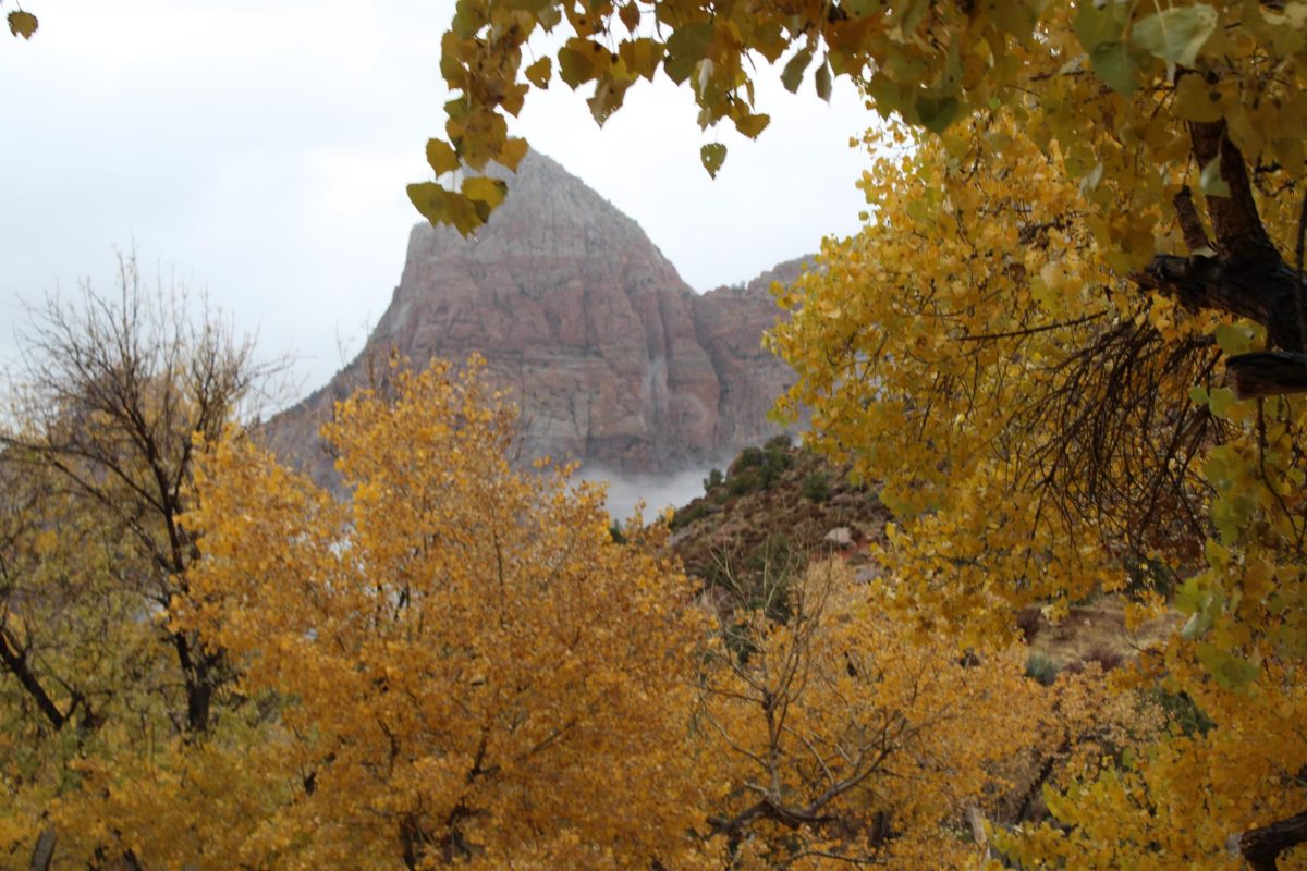 Personal Travel Blog: The Narrows-Zion National Park