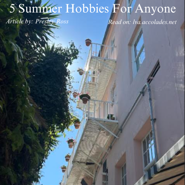 5 Summer Hobbies For Anyone