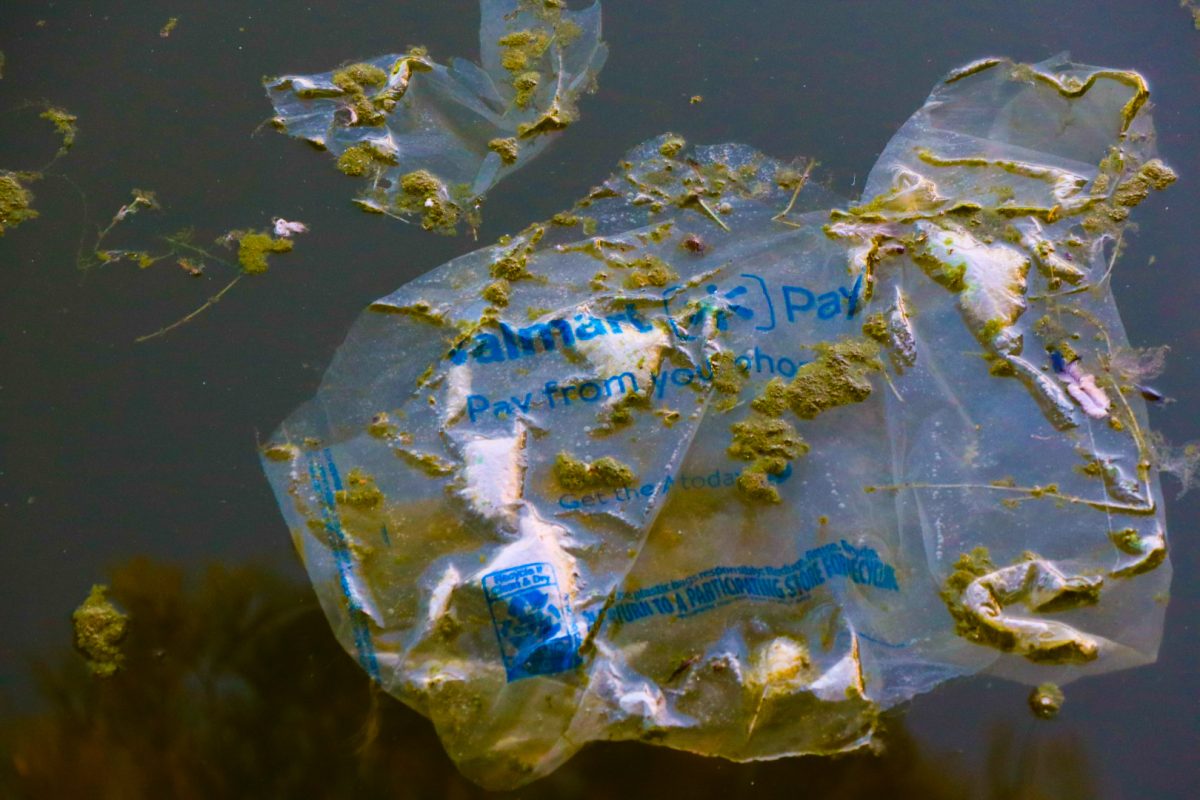 From Green to Grim: An Environmental Update on What’s Happened Since the Administration Change 