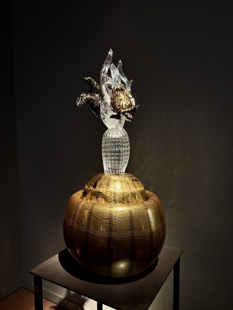 Turtle Sealife Vessel