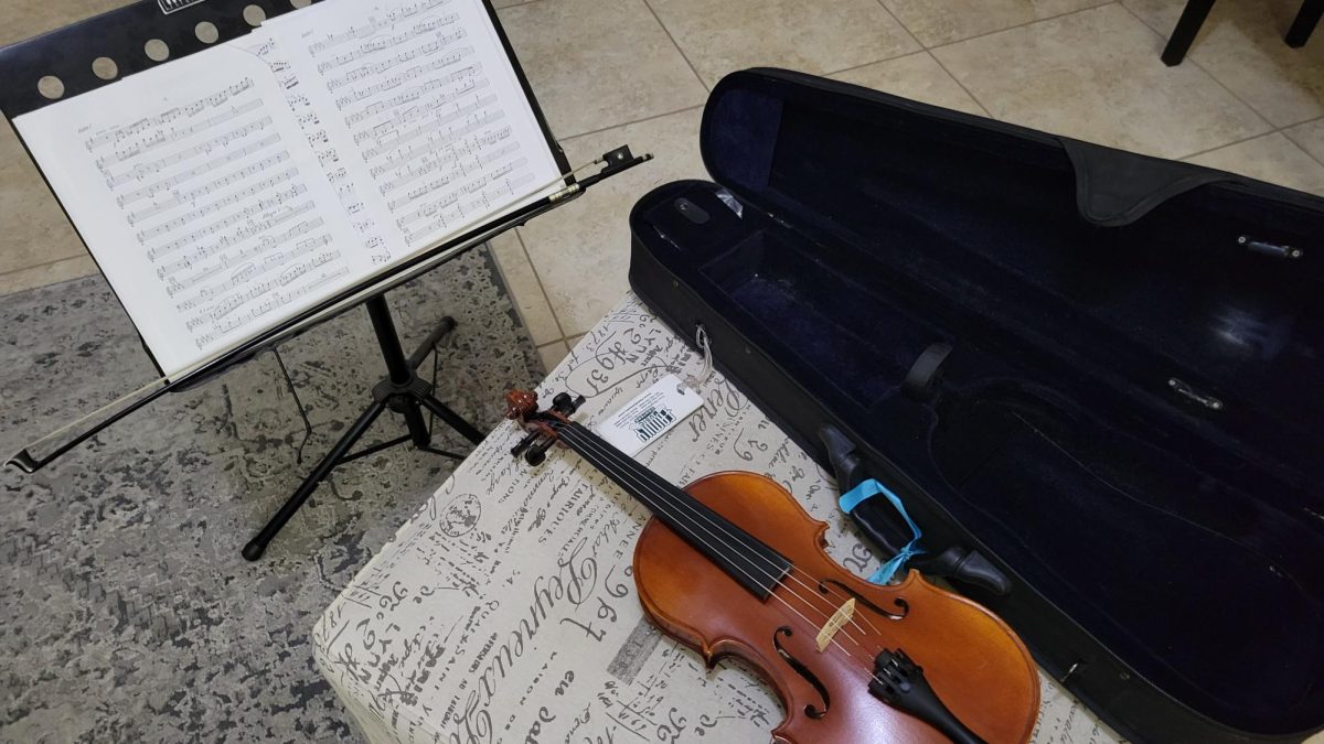 violin