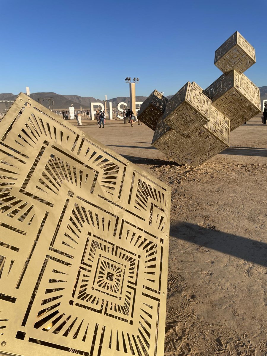 The Rise Festival showcases art installations by local artists in the Nevada community.
