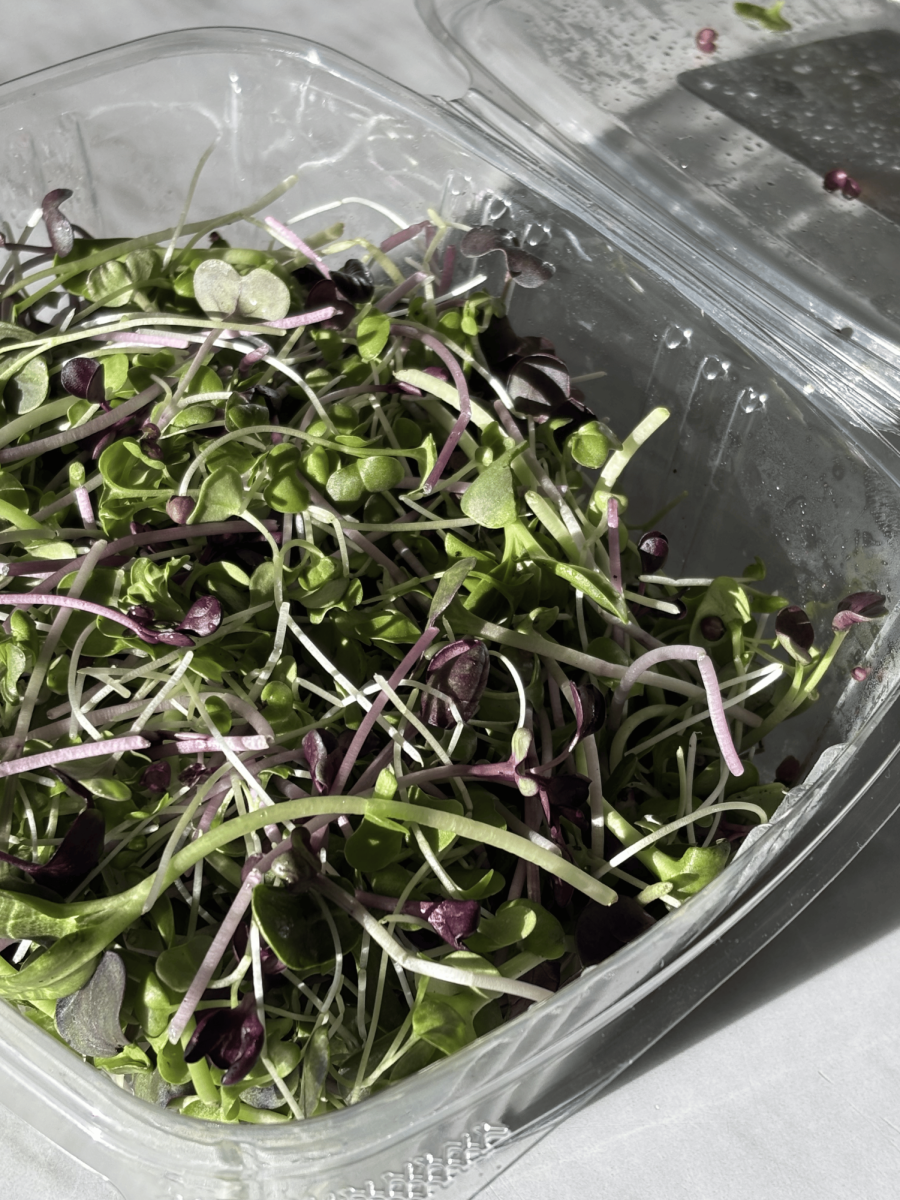 "Greens Made Simple," What Makes Microgreens So Powerful?