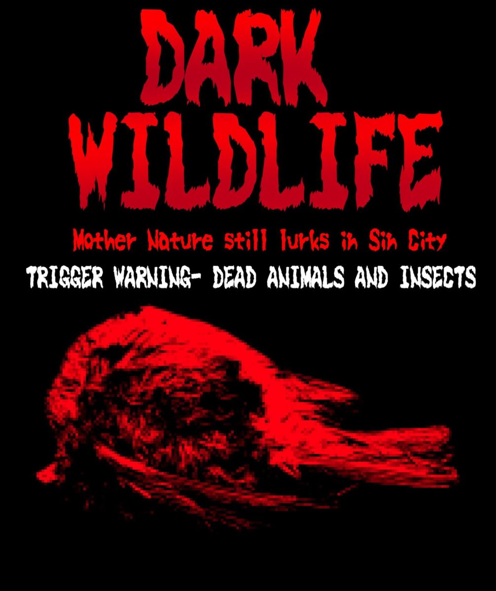 Local Lens: Dark Wildlife