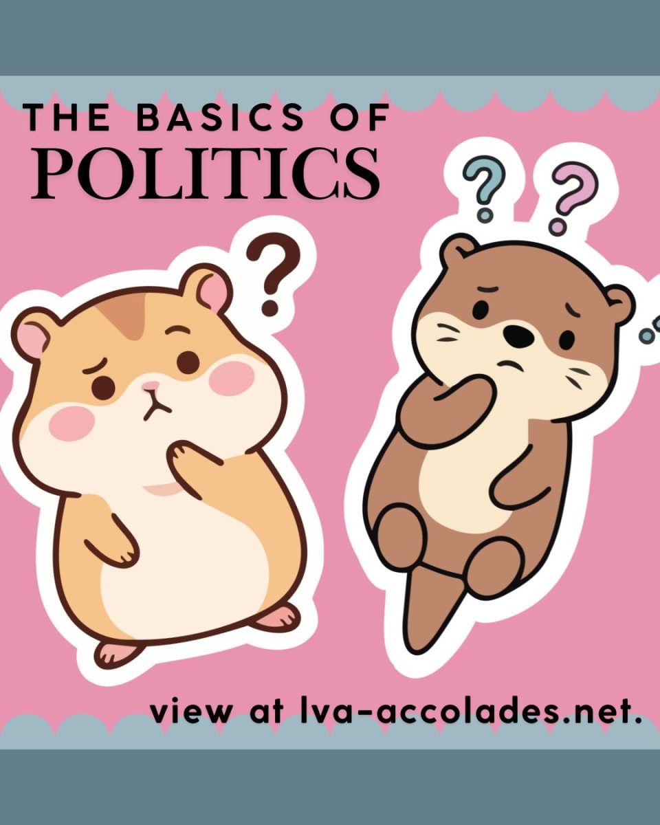 The Basics of Politics