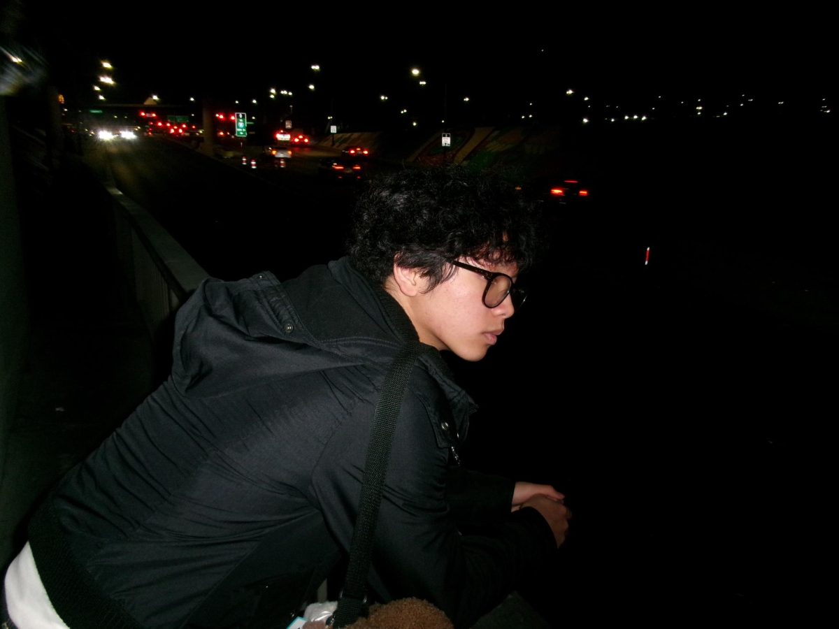 Photo 7 (1)