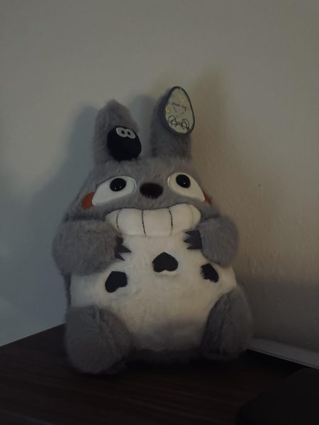 A Totoro plushie.